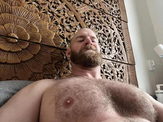 Furry pillows by cornfed405