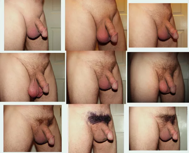 Growing them back. by wilsonvolleyball6789