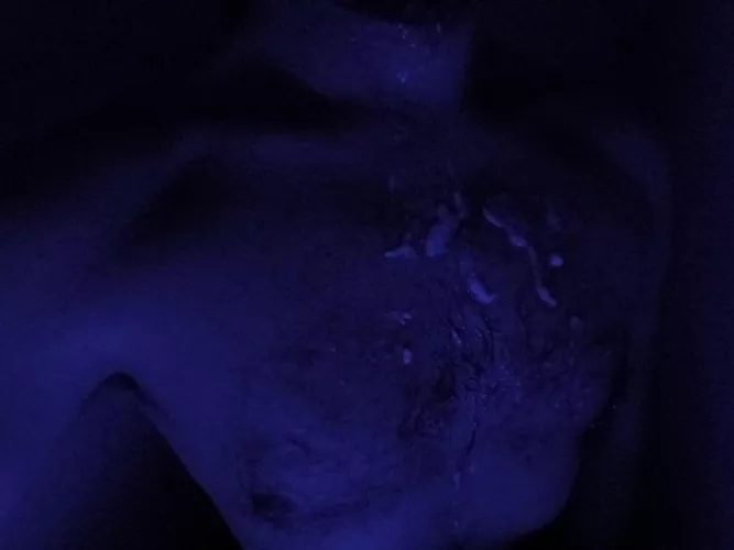 Guess how many loads :P by throwaway1324364