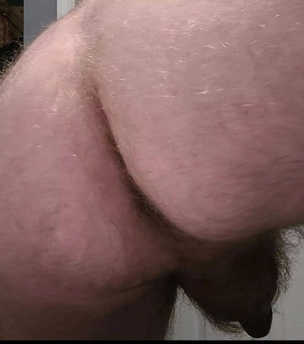 Hairy enough? posted by joeyharsh