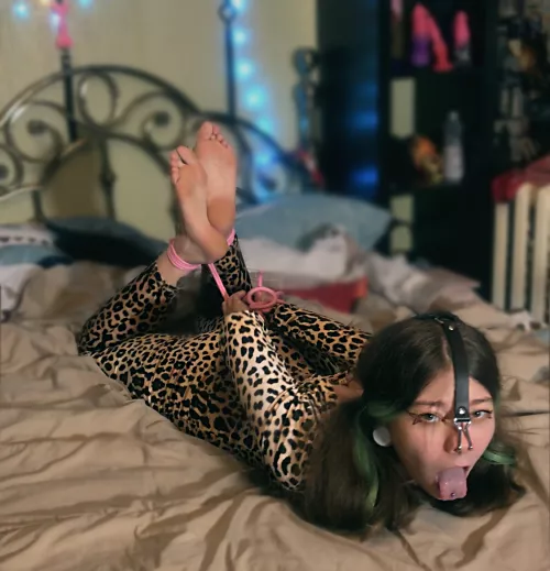 Hogtie cute pet with nose hook for training🥵 [F] by Sweet_Sansarella