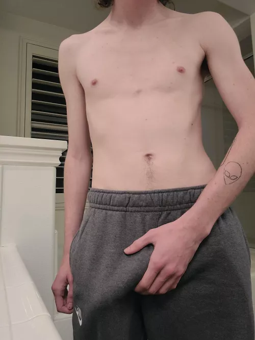 How big would you guess it is?? by linkyssecondaccount