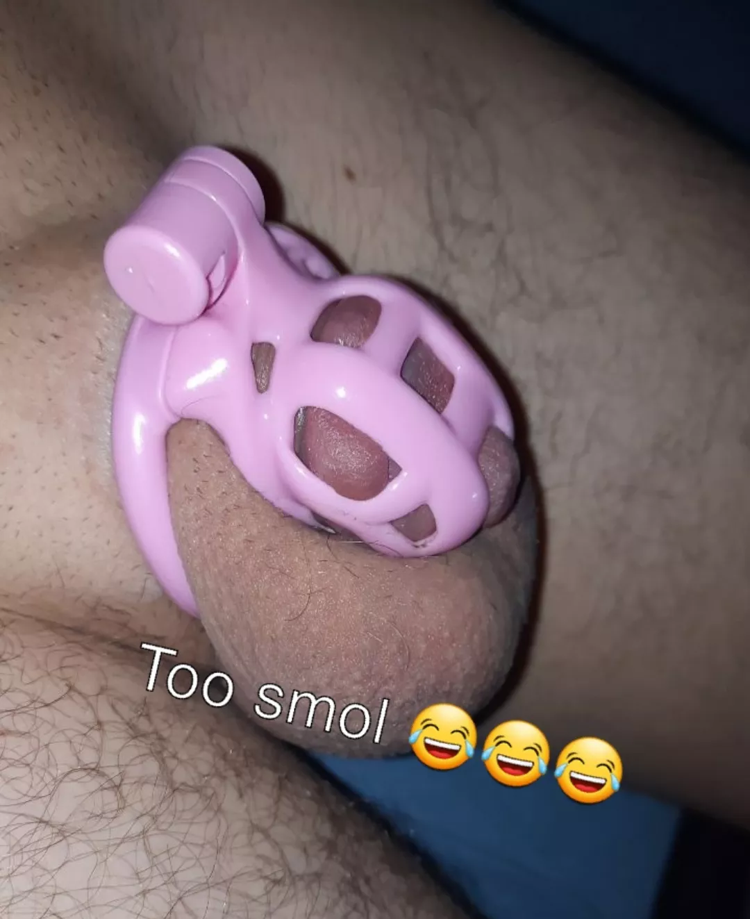 Is getting a vice mini for permanent lockup worth it or should I just glue this cage shut? My longest lockup is the one right now which is 70 days posted by LockedObedience030