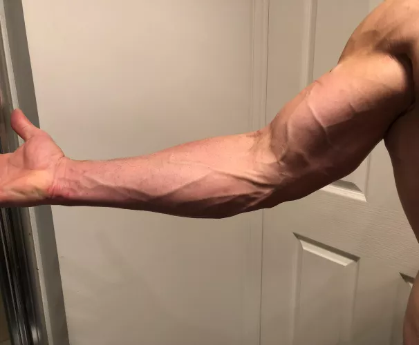 Nothing better than that pump you get on arm day😎 by Competitive_Note_427