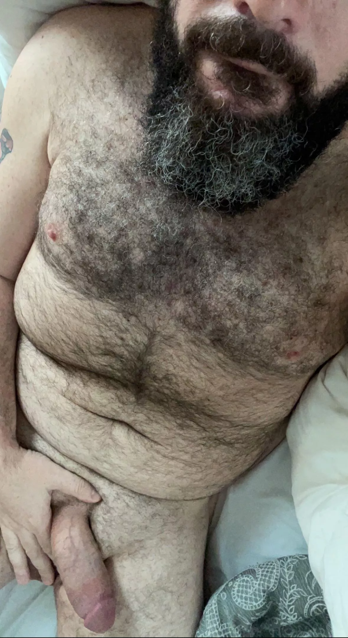 Taking volunteers to snuggle posted by NCYank23