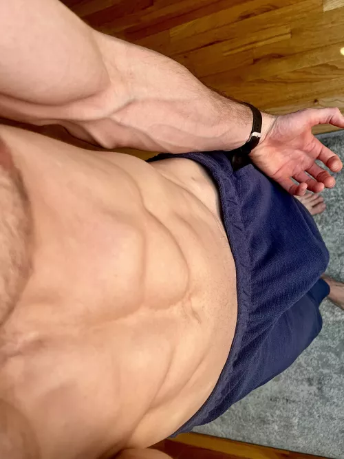 Tree branches  by mrhollywoodjack2