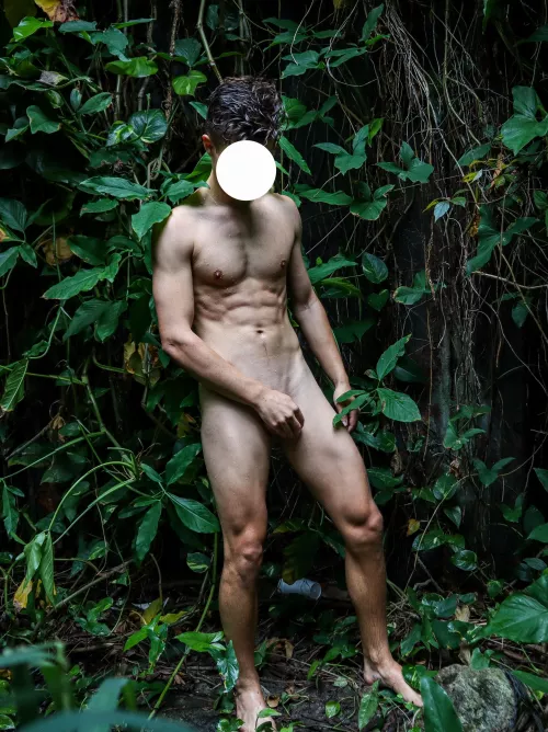 Welcome to the jungle by faceless-florida