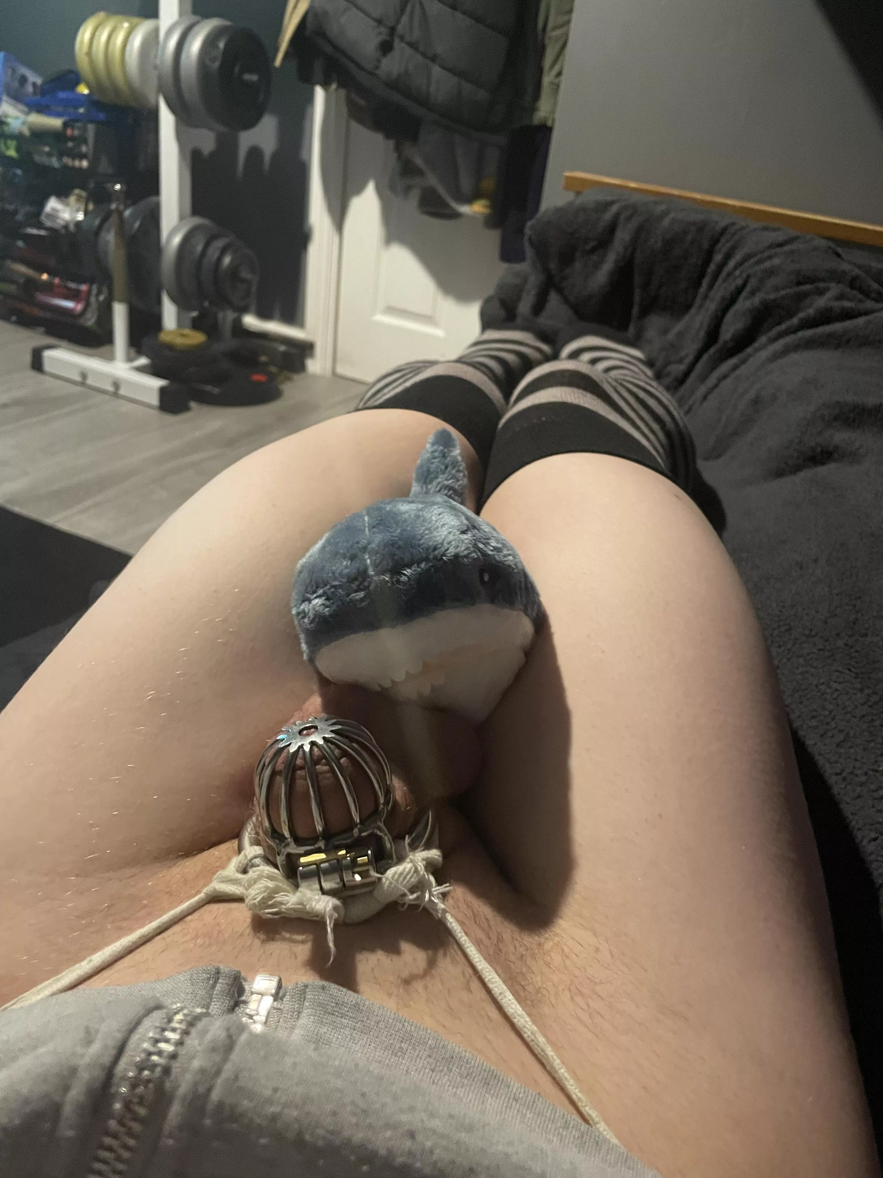 Who wishes they were sharko posted by Status_Profession319