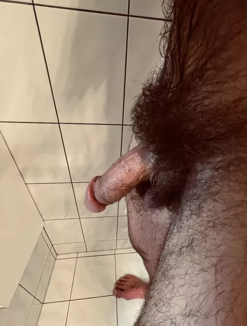 Winter bush by marcoto7