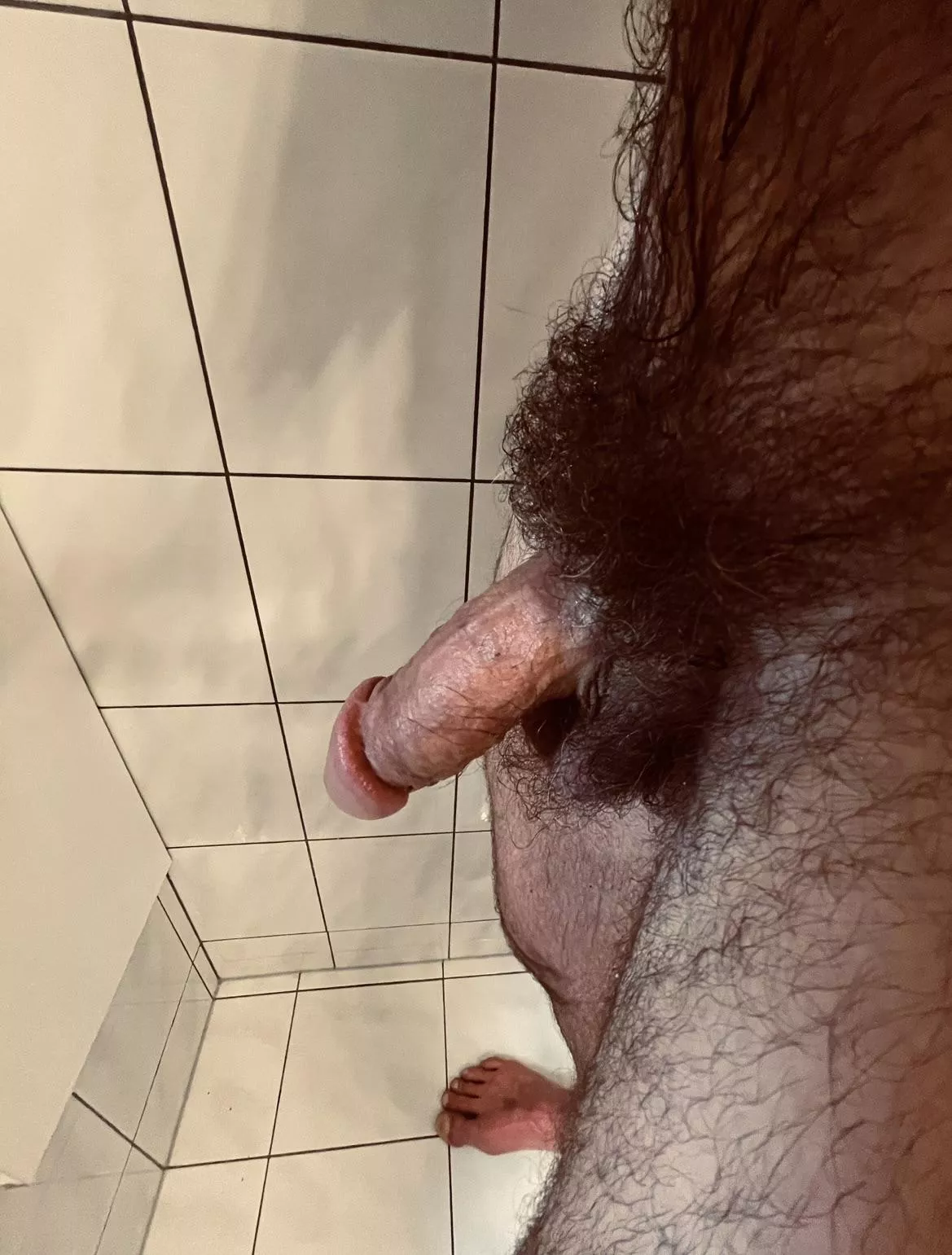 Winter bush posted by marcoto7