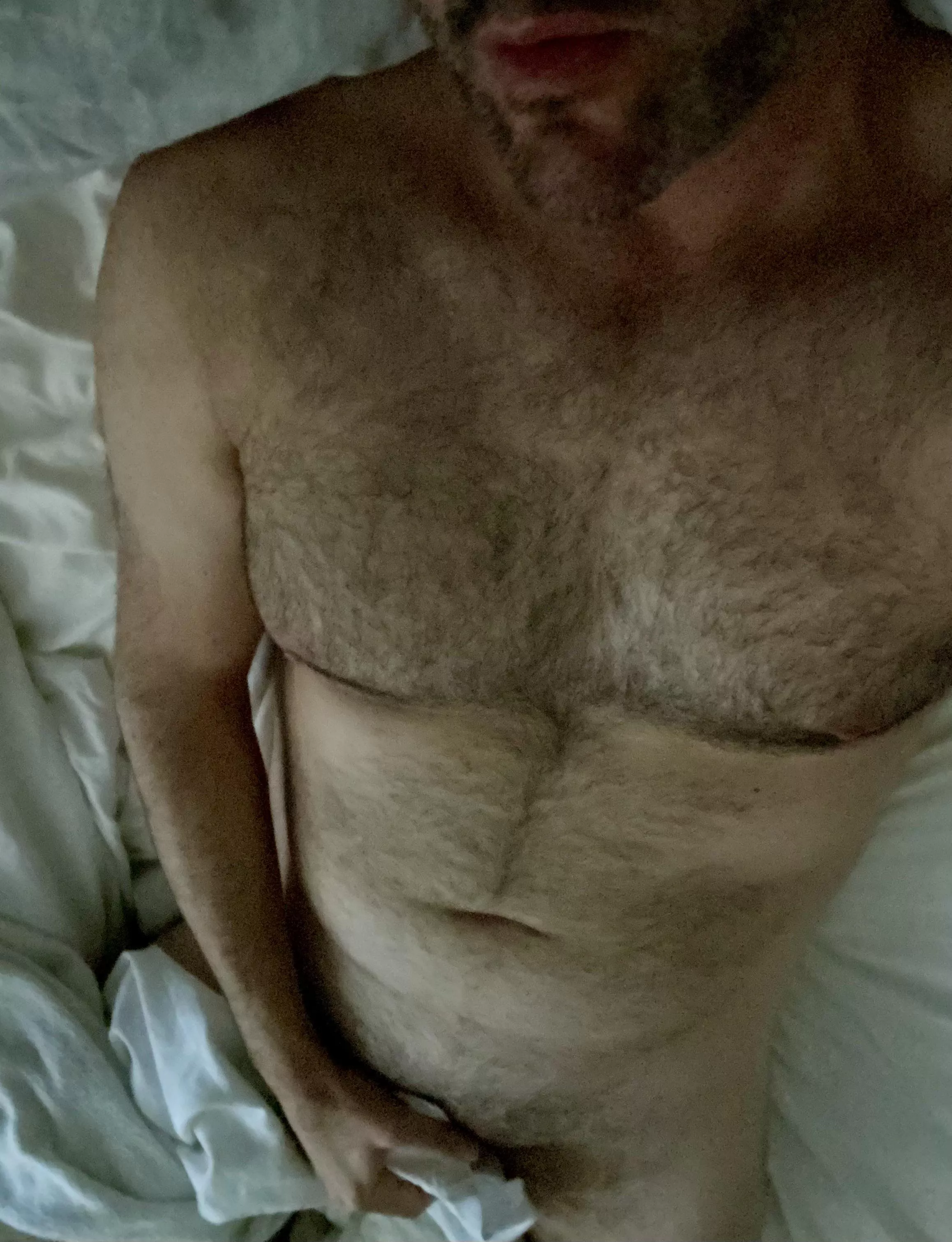 Yes, or No? (42) posted by ChristoGreyCA