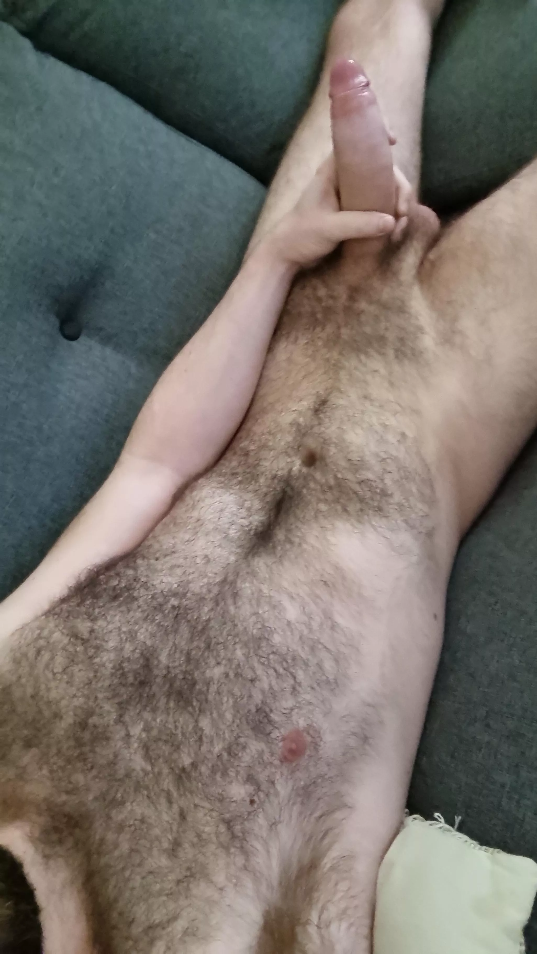 24 french hairy bwc hmu with asl @frhairy posted by frhairy