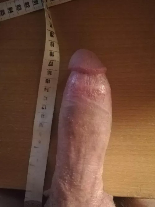 25m Europe Slovenia experienced bull ,dm for more by lazybones25