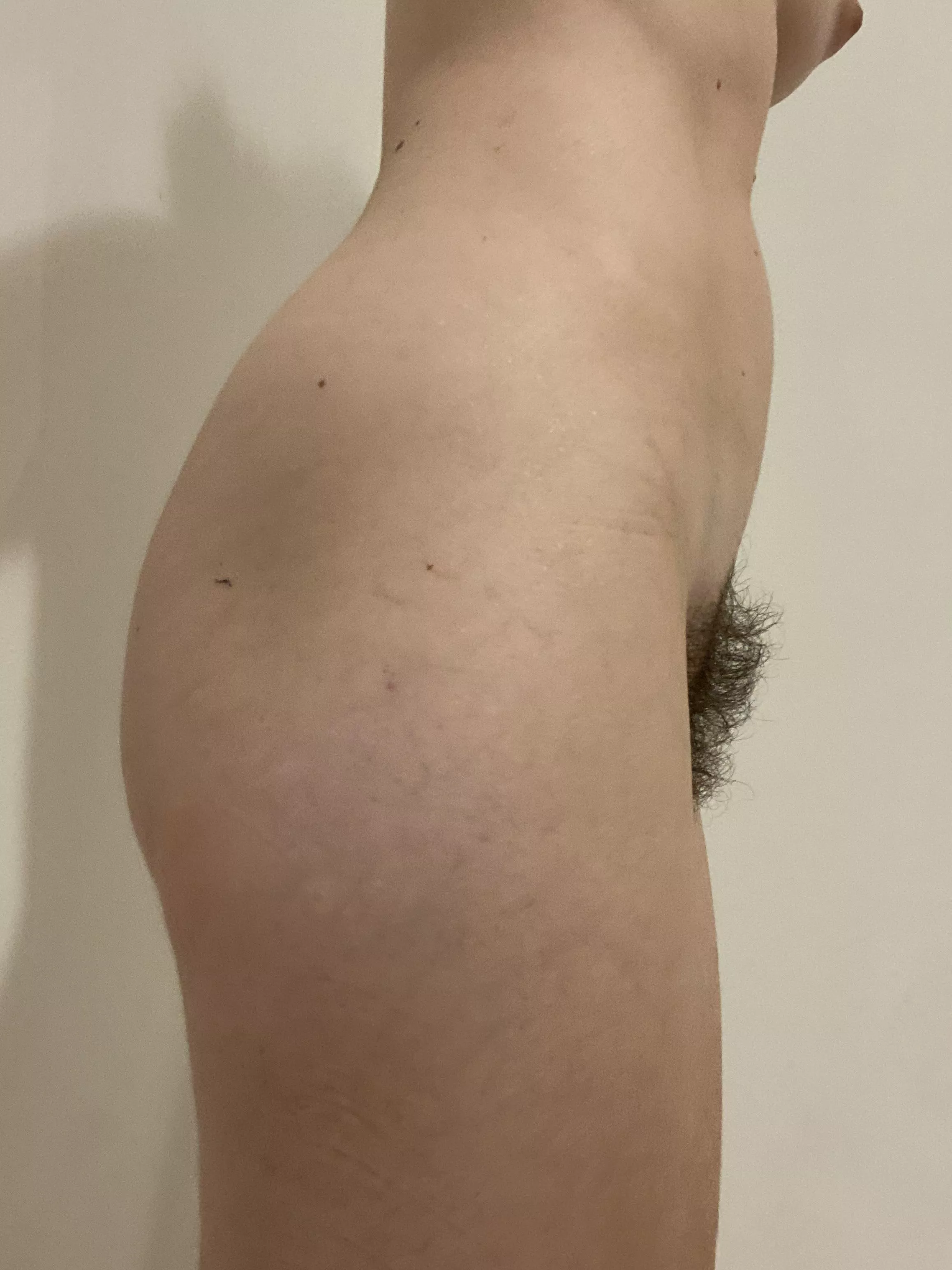 A bush from the side posted by franuella88