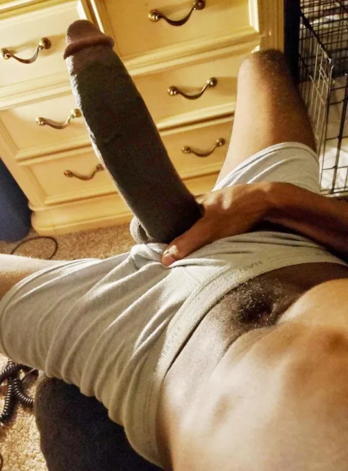 Biggest horse here? by Training_Line2431