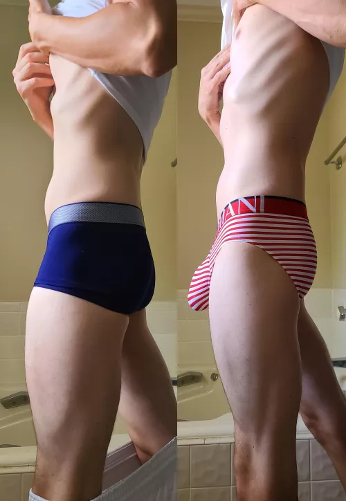 Blue vs Stripes by whosmongoose