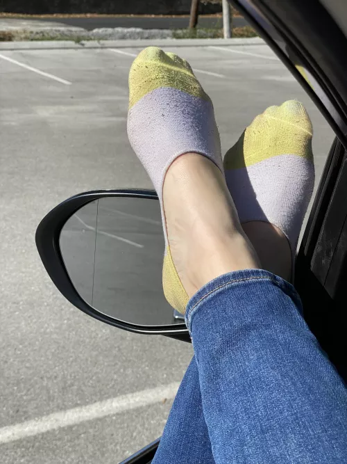 Covering them up just a little bit today by solefulshasta10