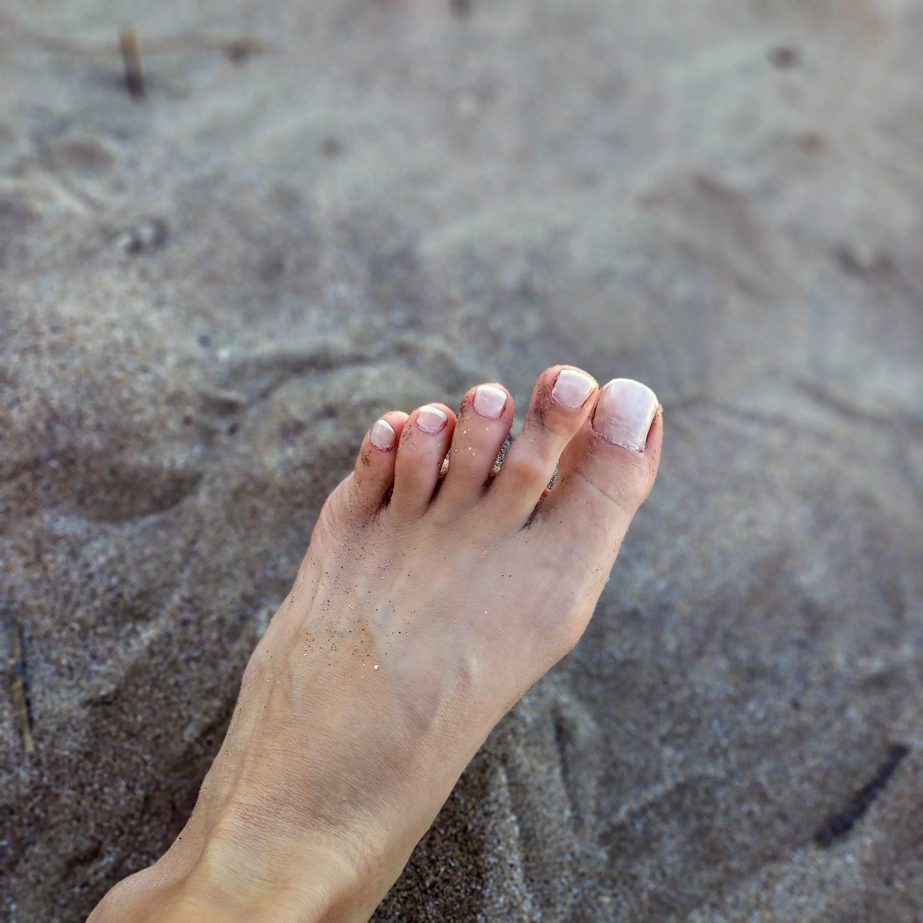 do you like your feet on the beach? posted by whitewolf-ww