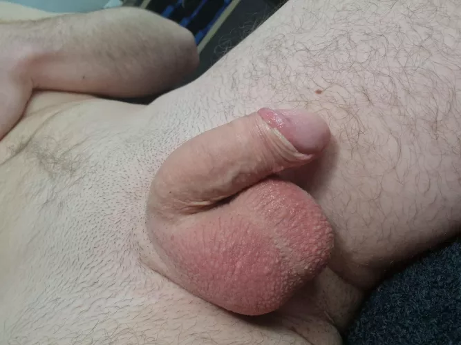 exhausted dick after 2h of stroking  by maxguy20