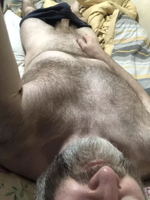 Just an older English silver fox to ride.  by Mrsparkles7100