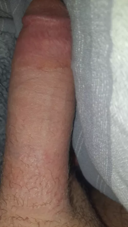 Looking for a long-term sub/subs, you up for it? Dms open~ by Ok-Enthusiasm9139