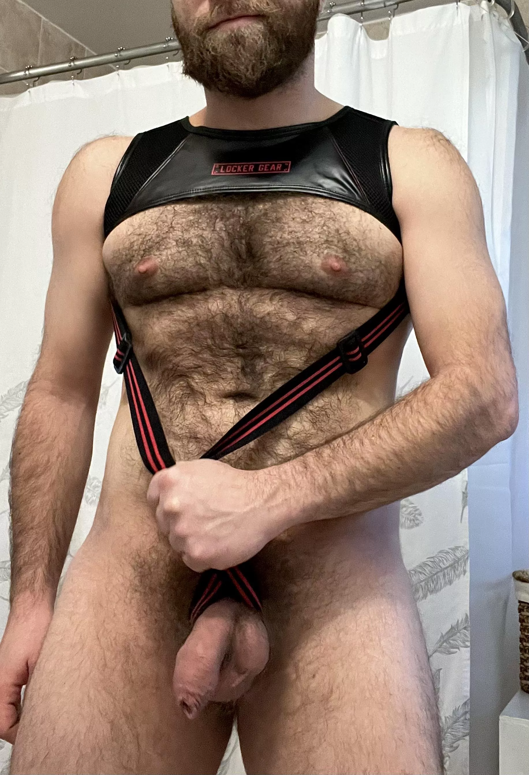 Love how a harness looks on my hairy chest posted by hairyMtl