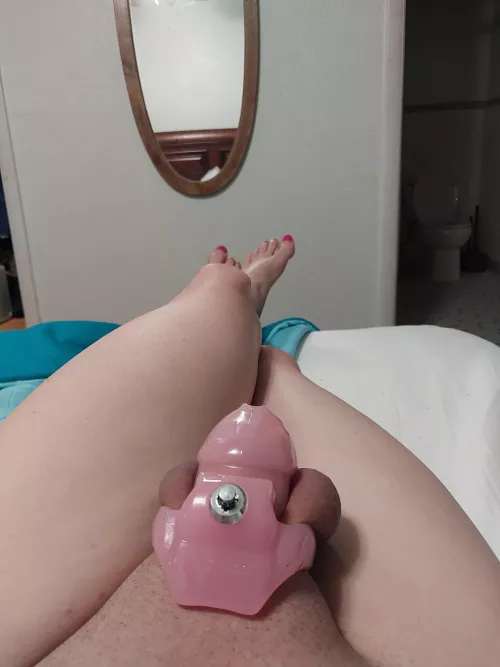 My first cage!  by SummerMoonCD