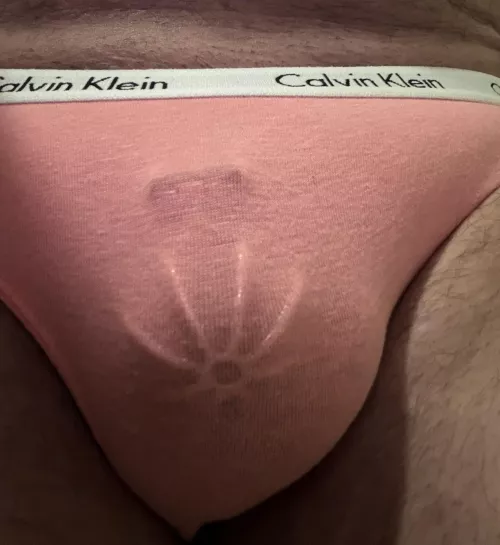 My wife bought me some new panties for work, what do you think? by Cautious_Athlete_497