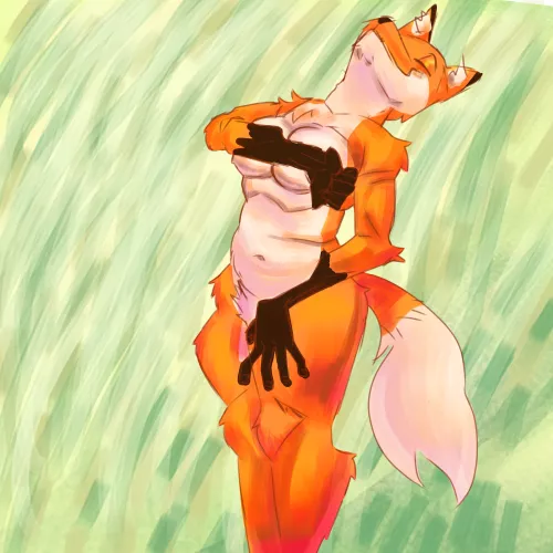 Naturalist Fox(art by me) by RickySanDraw