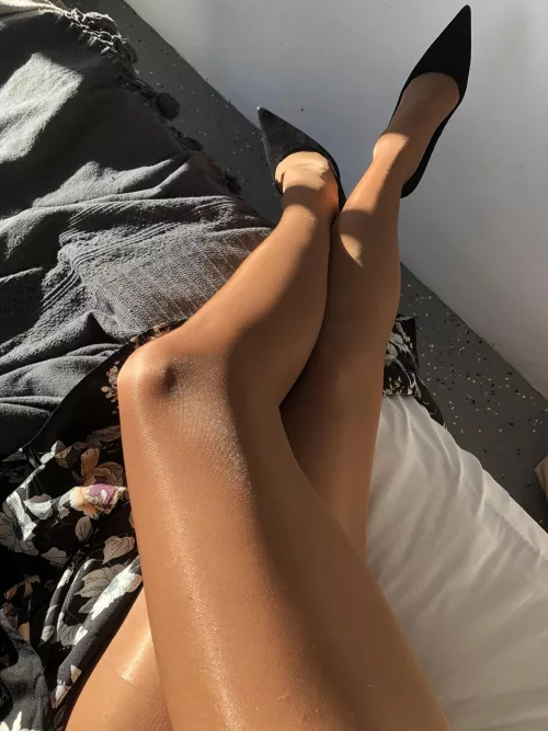 What do you think of these nylons? Are you into glossy or not? xo by HoneySimone