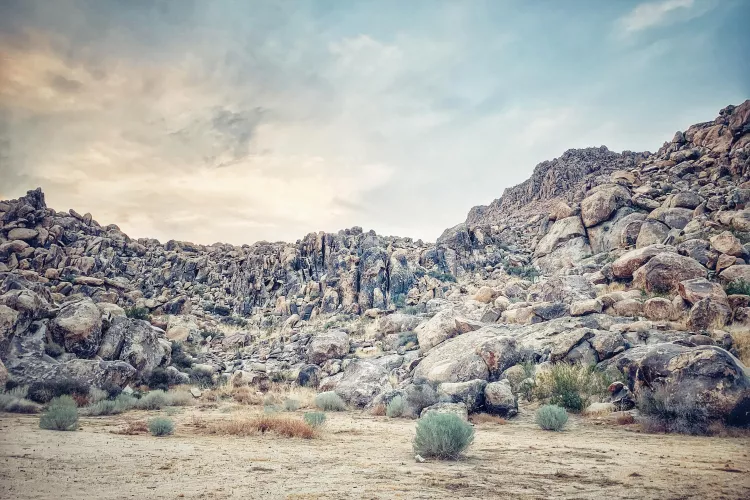 36/40 gay couple in SoCal for friends with similar interests/planning camping trip. by Working_City_6207