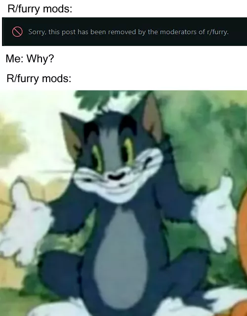 (by me) Excellent communication. by AltScaleyAccount