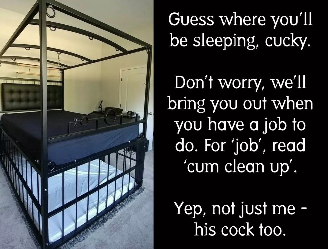 Cum clean-up on demand…  posted by biffa_b_