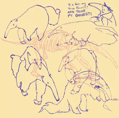 fursona’s honest reaction to my anteater animal study by t00thtea