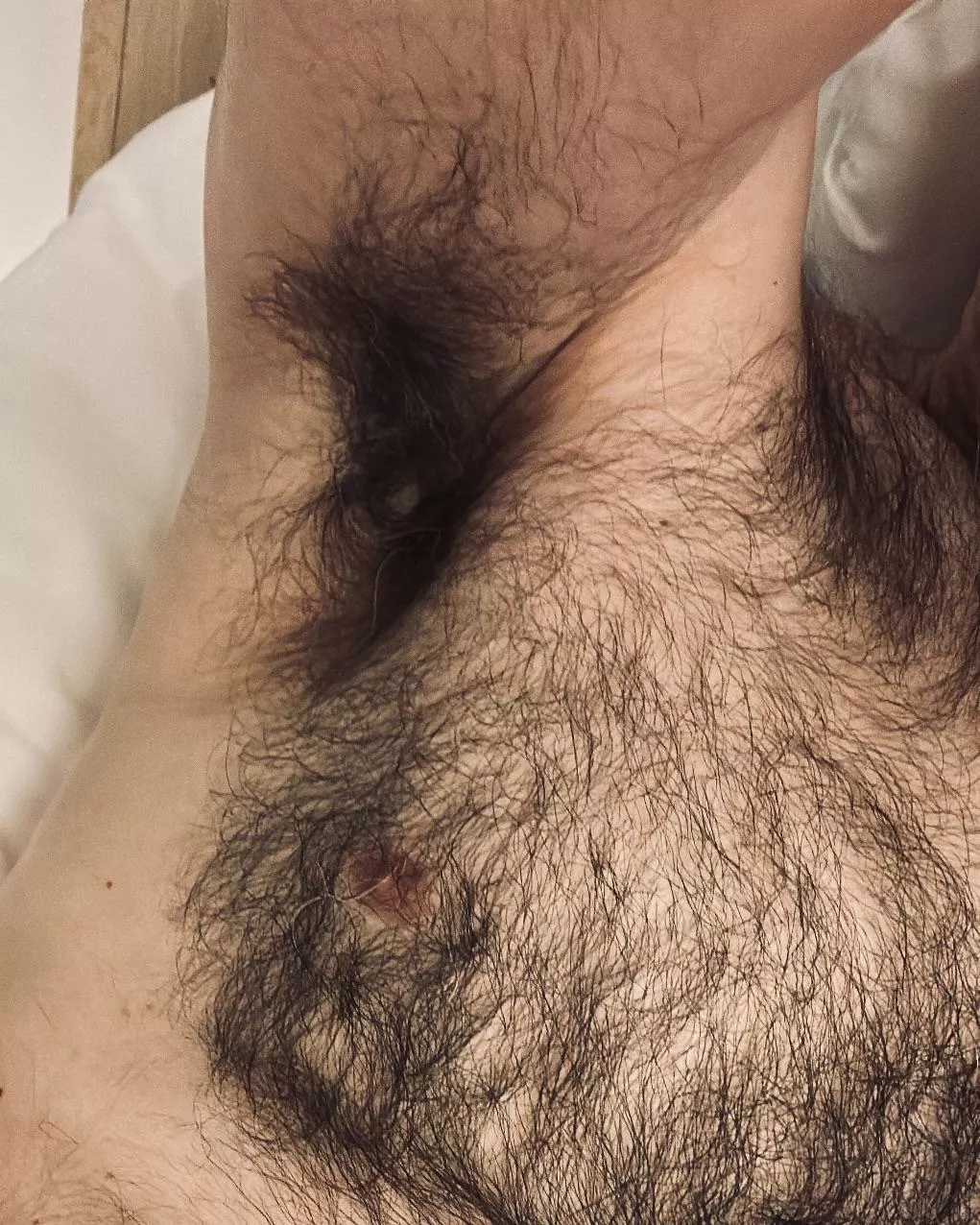 FYI: I give great cuddles... posted by jerseyjaxoff