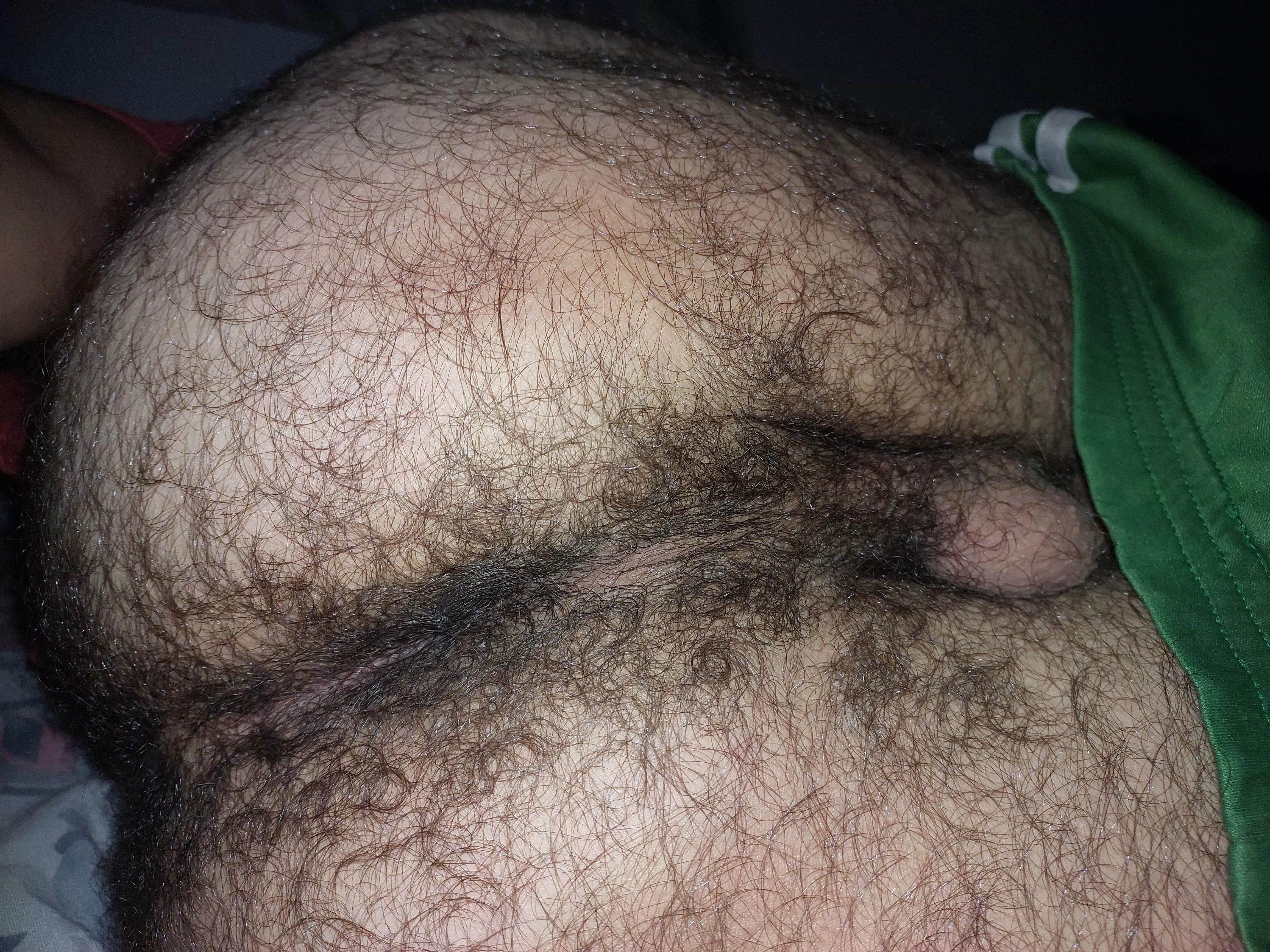 hairy enough? posted by overthehedgerow
