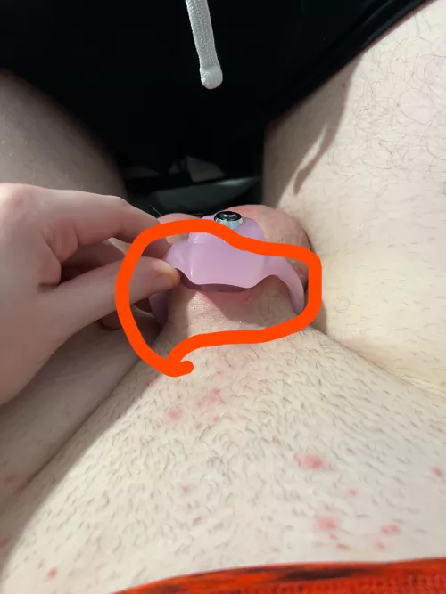 Holy Trainer v5 help?! by SissyPrincess8