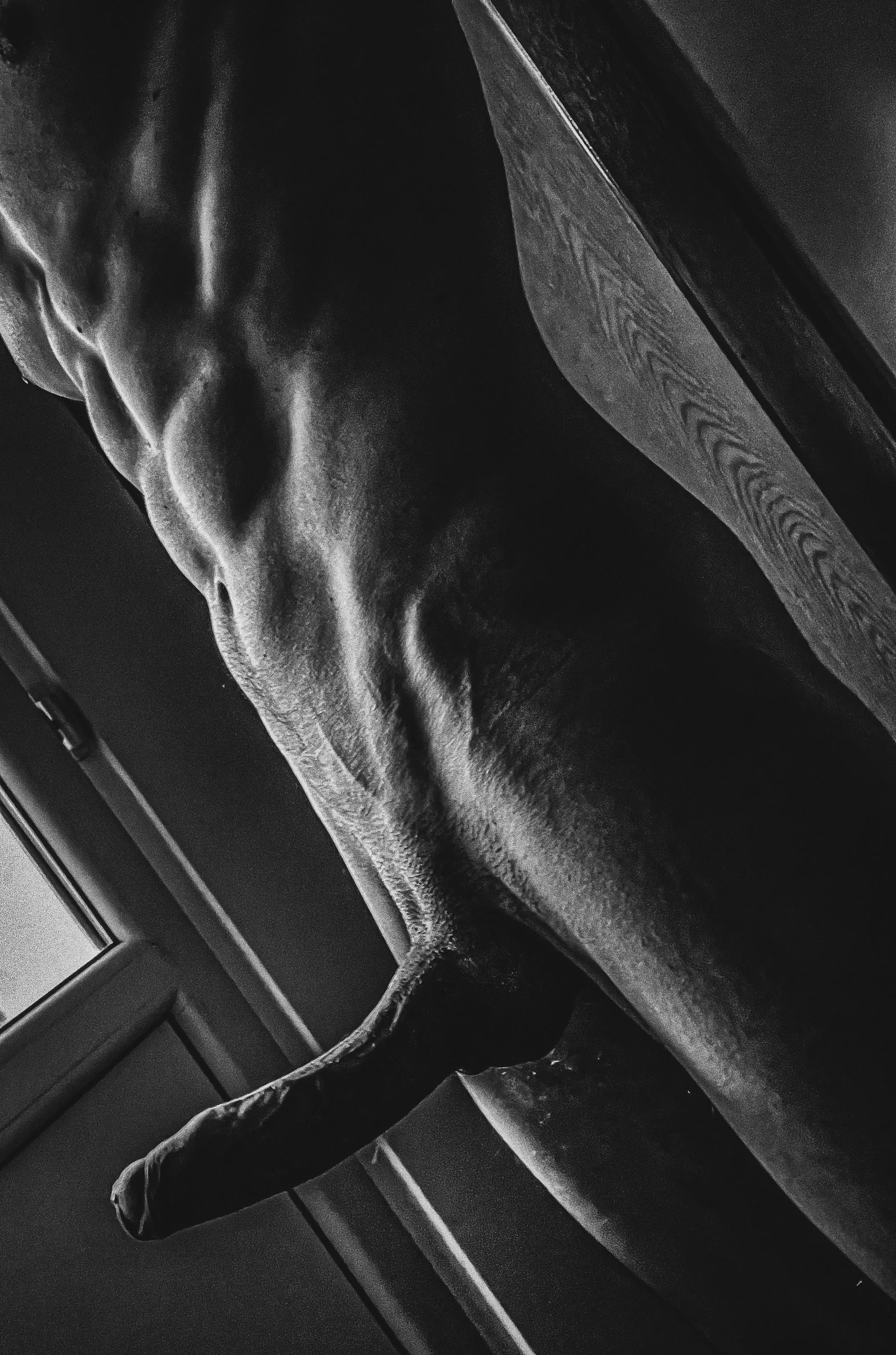 How many reps can we do[M] posted by Icy-Astronomer1993