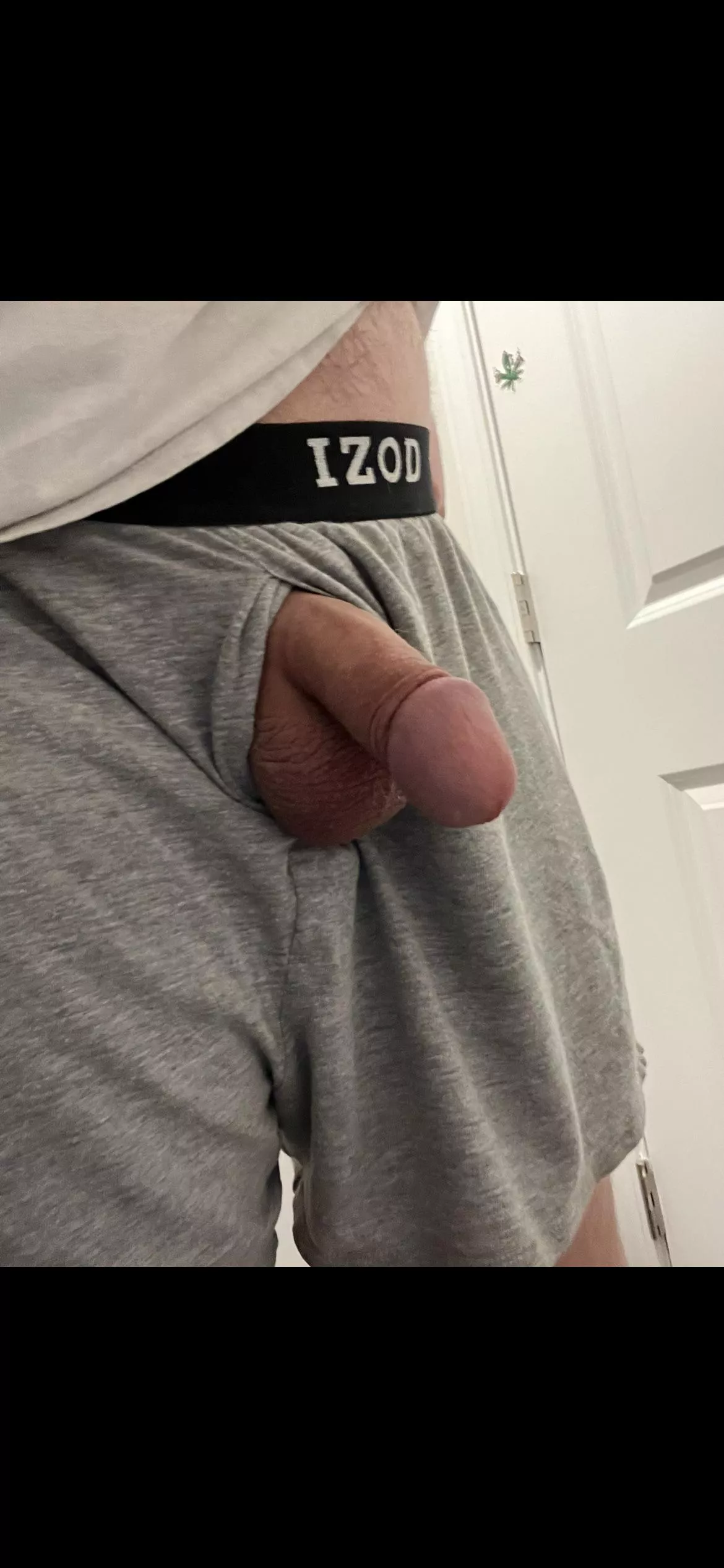 How’s my softie  posted by EnvironmentalCry3659