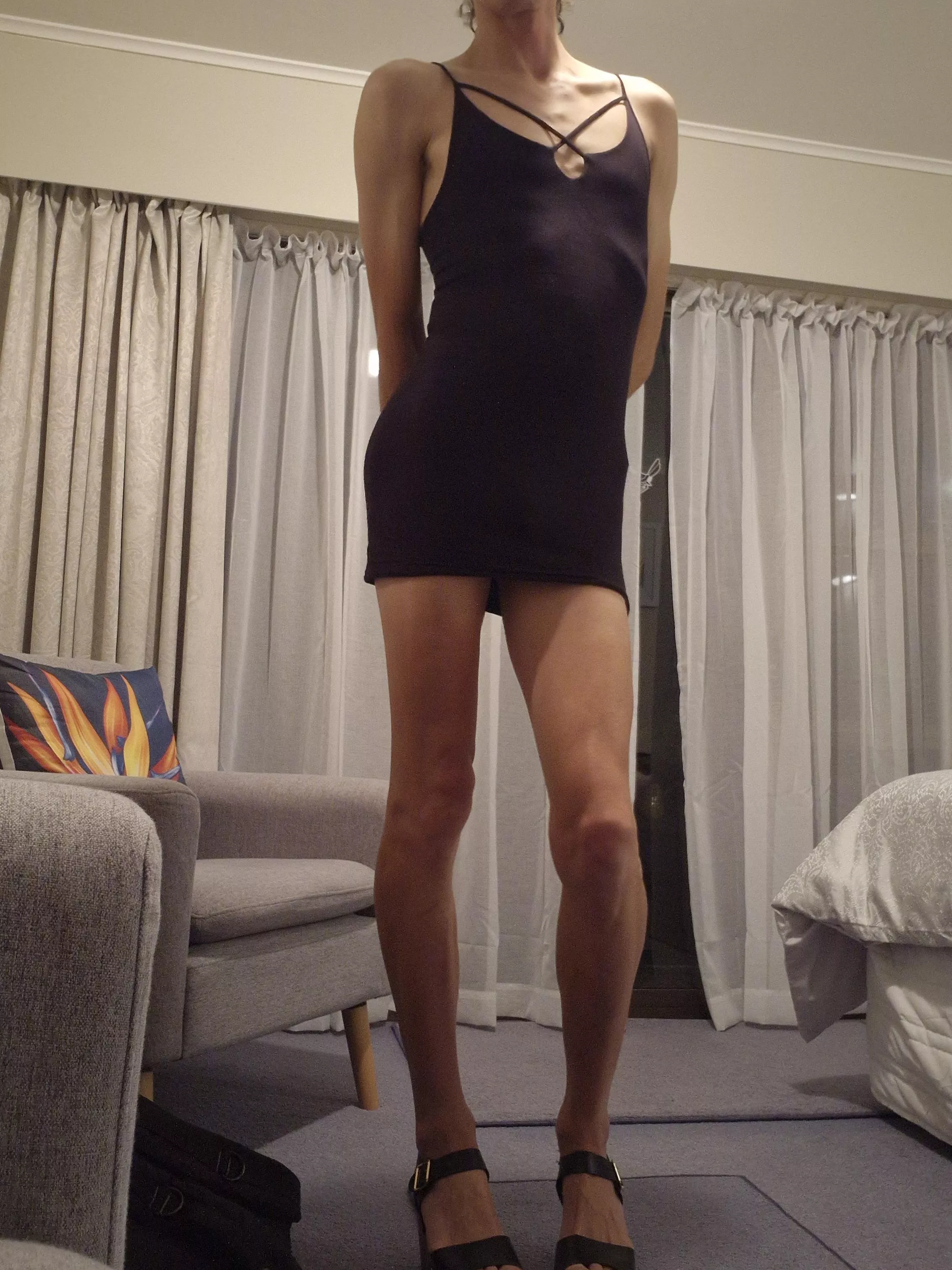 If I was your neighbour what would you try?  posted by DemiWolfxox