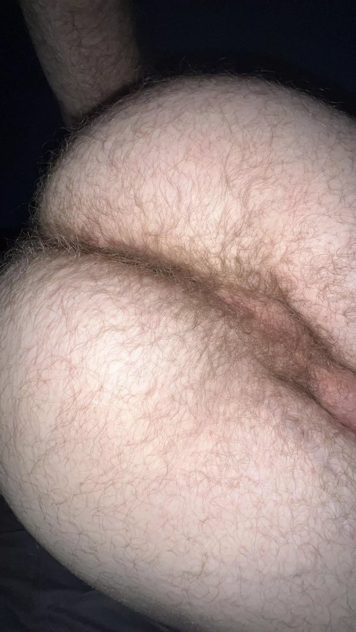 I'm so dang hairy in between my cheeks 😵‍💫 posted by FartsTX