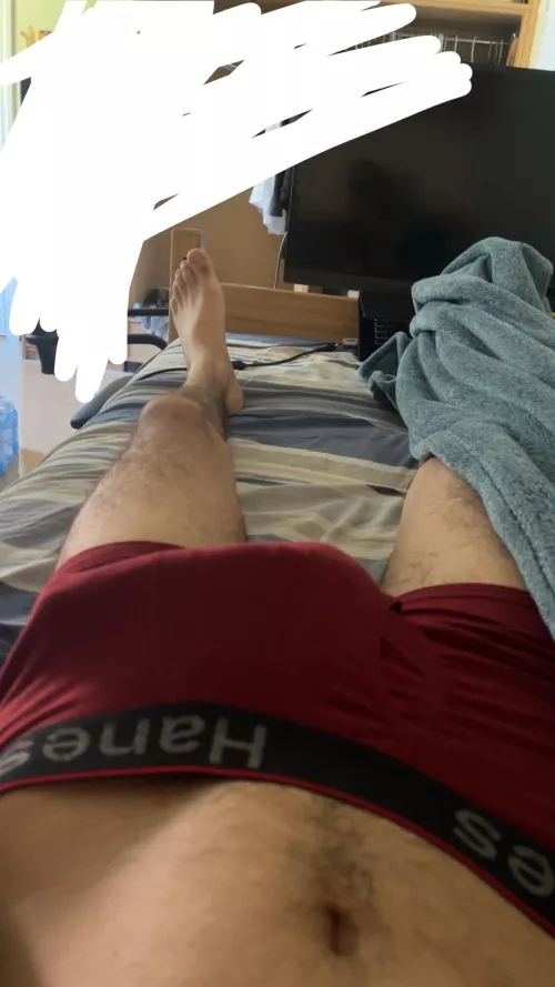 morning glory  by East_Isopod_9024