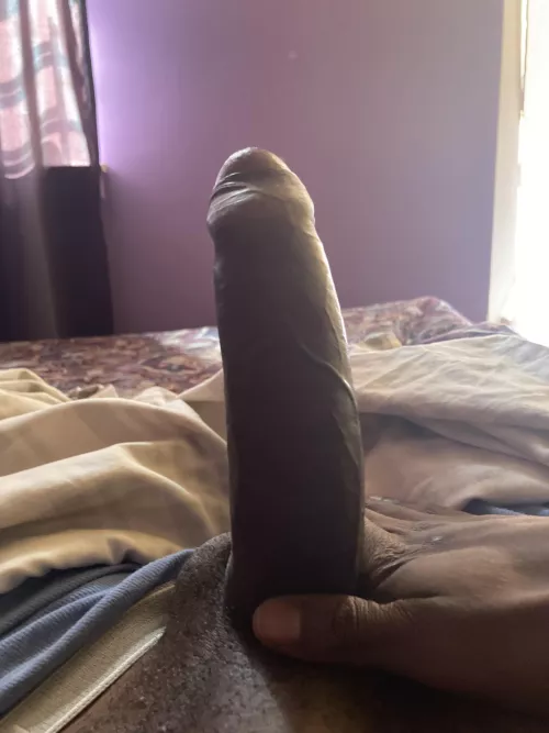 My morning glory by Sea_Book_6995