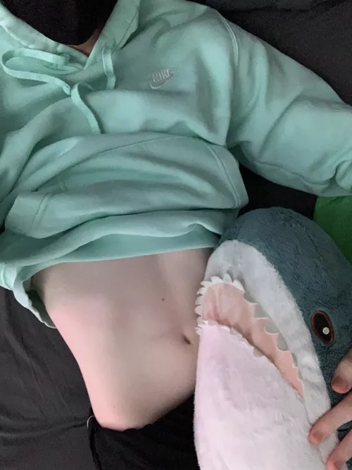 the blahaj returns!! :3 by Daylesford123