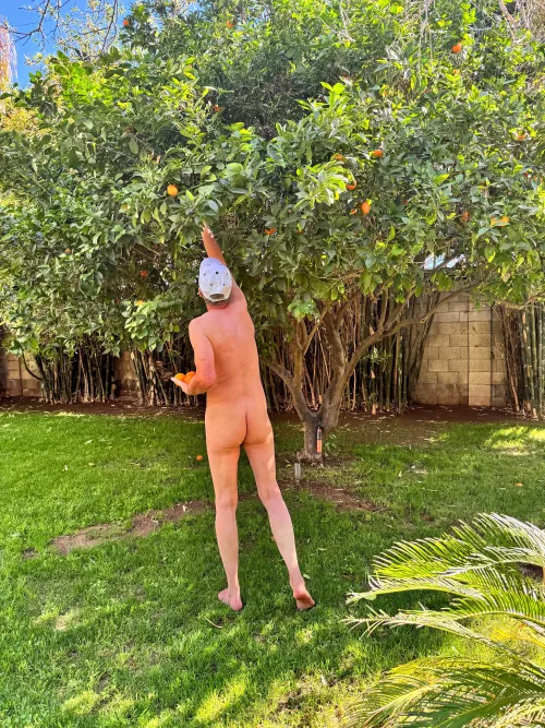 🌿Tree pose Tuesday🍀 A natural breakfast treat by Fickle-Repair486