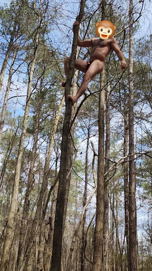 Unleashing my inner ape by lovenuggets3