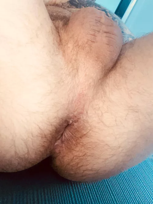 Who loves a furry hole? 🦦🕳️ by thedarrenduvall