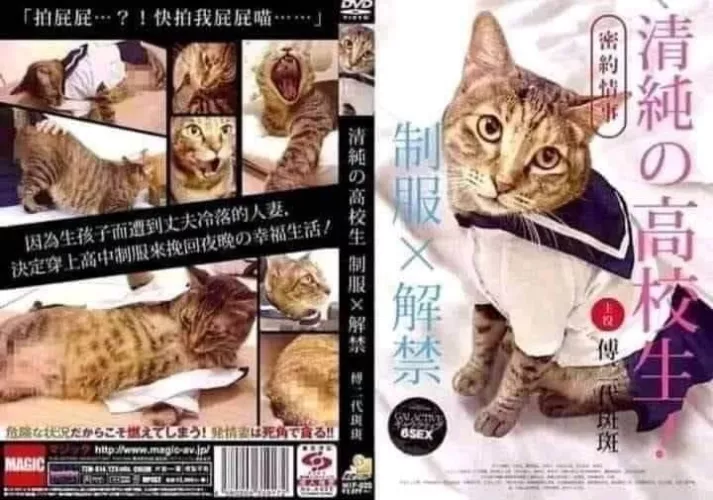 Wtf? by Professional-Lab5080