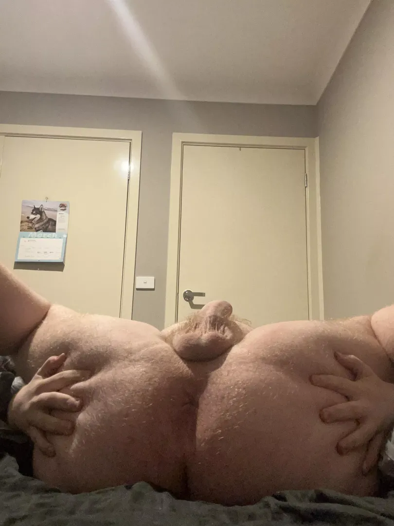 [18] fuck my hole by omegadestroyer826472