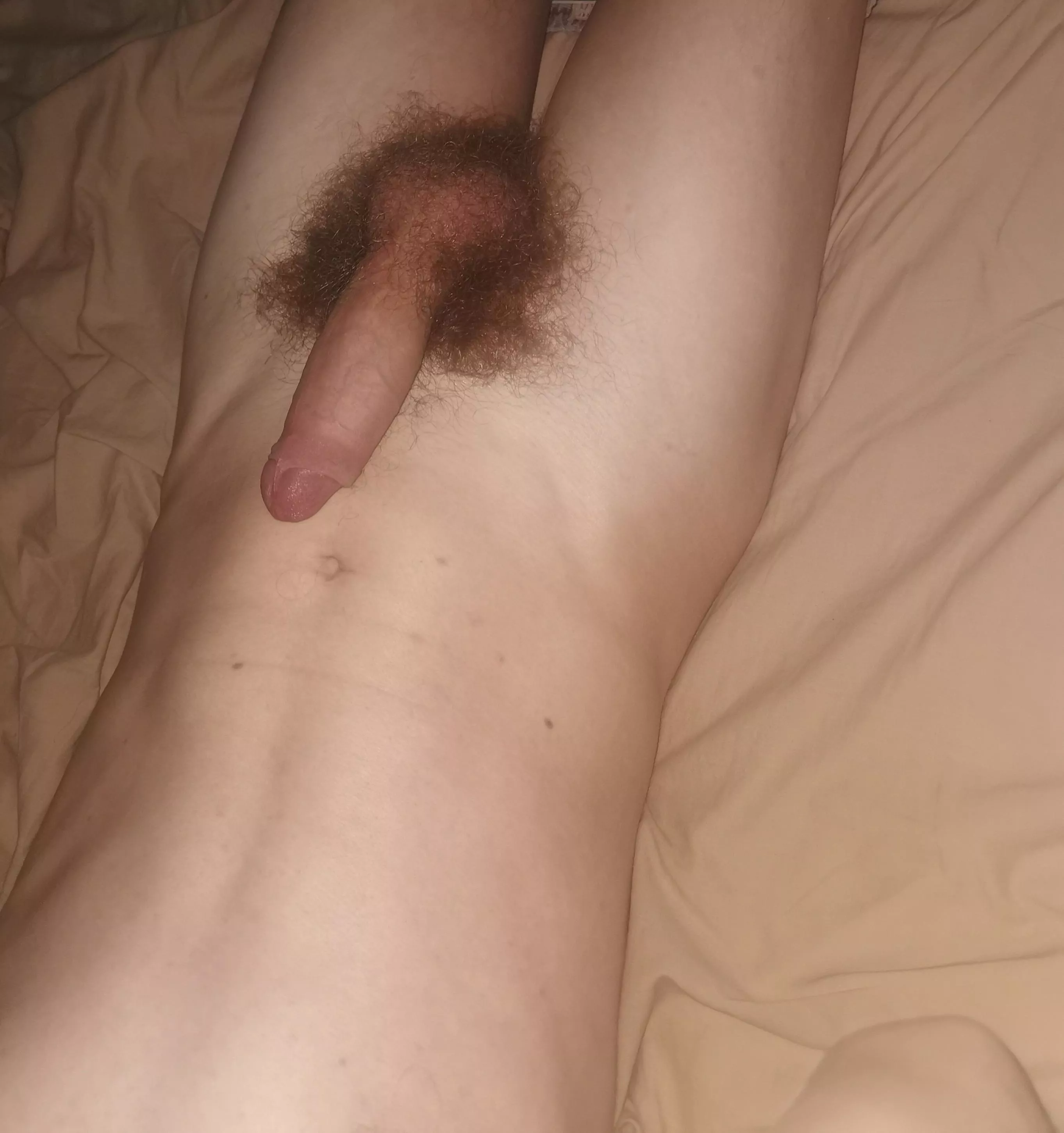 Anyone down for a ride?! posted by TheNovaOP